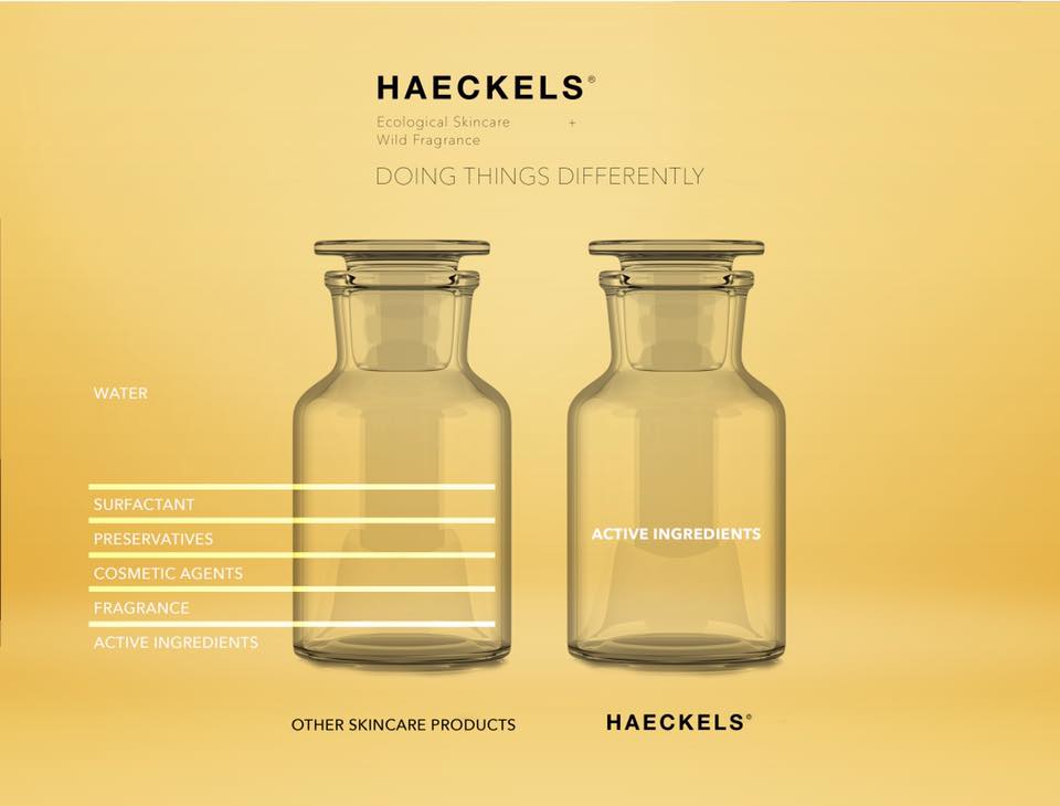 reshaping sustainability: the Haeckels approach 